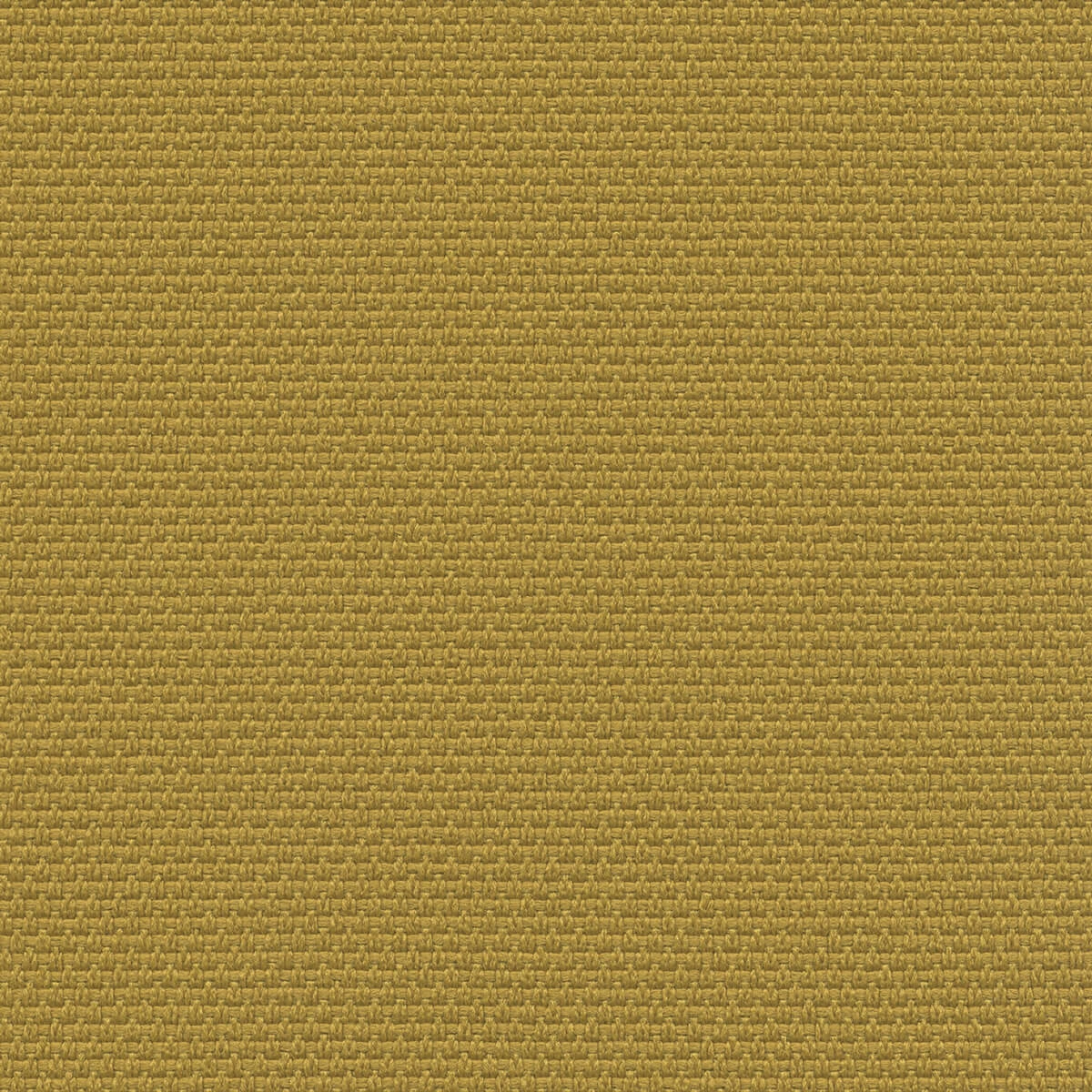 Senape